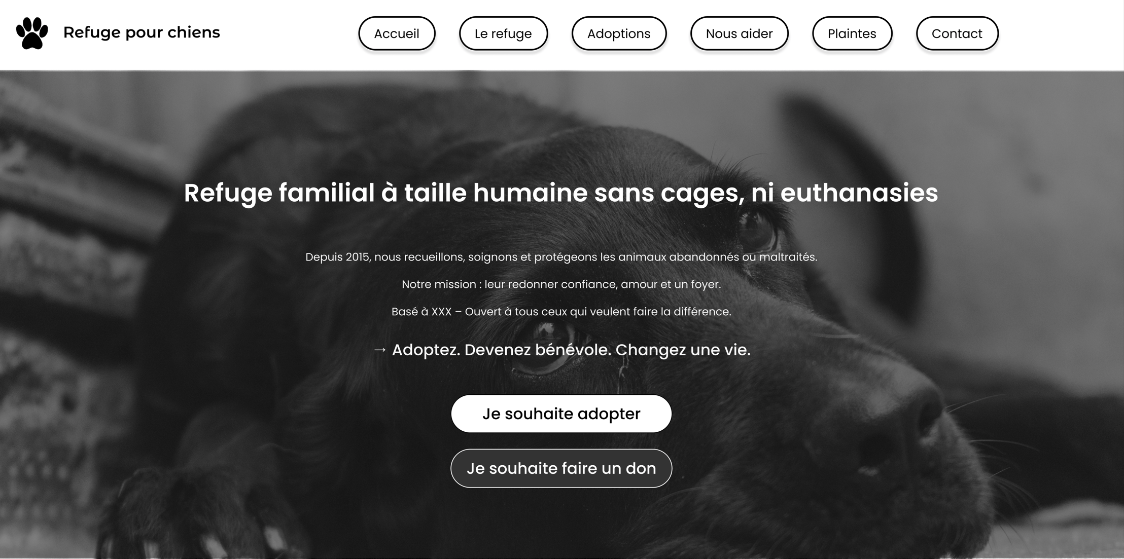 Aperçu du site Refuge pour chiens – Projet de refonte graphique fictive